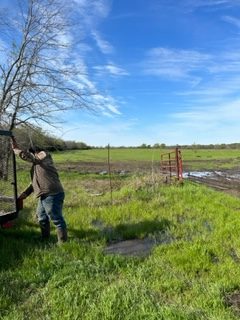 Future site